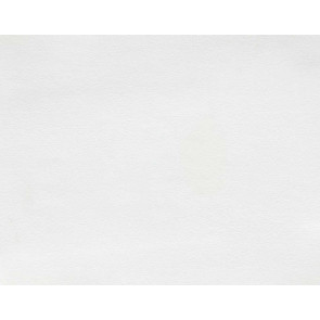 Boussac - Joe - O7764001 Milk