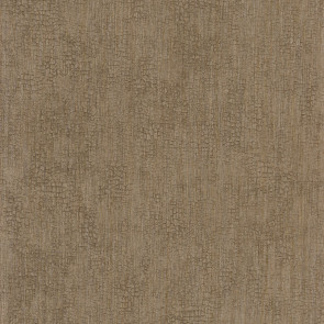 Casamance - Synopsis - Focus - 73720426 Beige Fonce