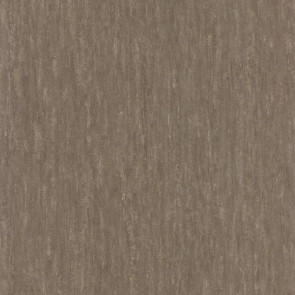 Casamance - Synopsis - Instantane - 73790544 Taupe