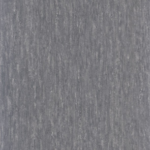 Casamance - Synopsis - Instantane - 73790748 Gris Fonce