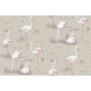 Cole & Son - Flamingos - F111/3011LU