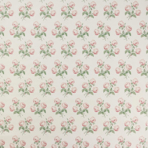 Colefax and Fowler - Bowood Chintz - 01020-04 Pink/Leaf