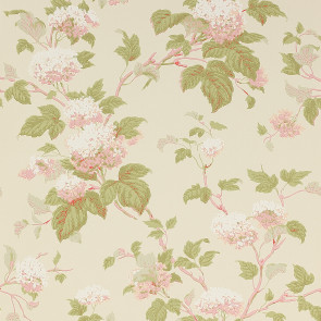 Colefax and Fowler - Jardine Florals - Chantilly - 07816-08 - Pink-Green