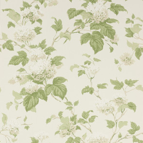 Colefax and Fowler - Jardine Florals - Chantilly - 07816-09 - Ivory-Leaf Green