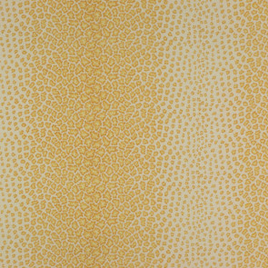 Colefax and Fowler - Livingstone - Yellow - F1406/03