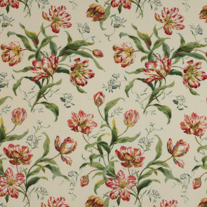 Colefax and Fowler - Delft Tulips - Pink/Green - F2823/01