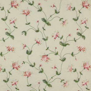 Colefax and Fowler - Tisbury - Pink/Green - F3204/01