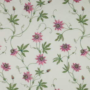 Colefax and Fowler - Passionflower - Pink/Green - F3404/01