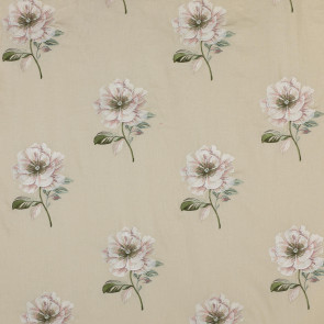 Colefax and Fowler - Louise Linen - Cream - F3709/01