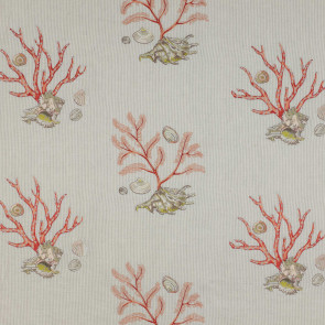 Colefax and Fowler - Atlantic - Natural - F3805/01