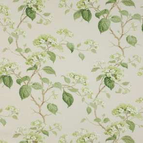 Colefax and Fowler - Summerby - Leaf Green - F3829/01