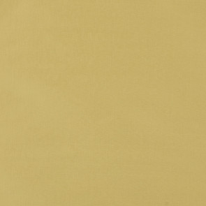 Colefax and Fowler - Padova - Yellow - F4137/25