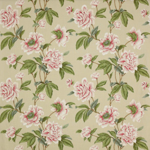 Colefax and Fowler - Giselle - Pink/Green - F4230/04