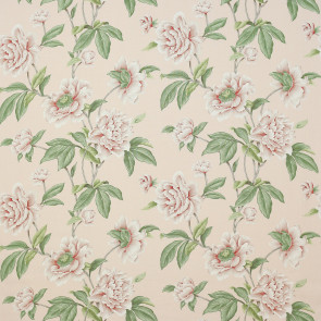 Colefax and Fowler - Giselle - F4230-06 Shell Pink