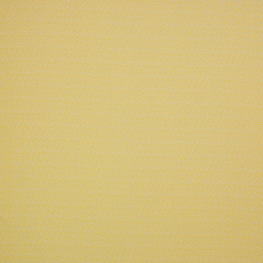 Colefax and Fowler - Seafern - Yellow - F4354/04