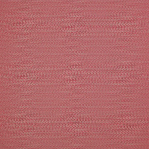 Colefax and Fowler - Seafern - Red - F4354/05