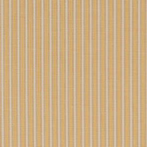 Colefax and Fowler - Brooke Stripe - F4826-05 Yellow