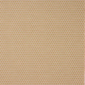 Colefax and Fowler - Woodberry - F4847-04 Gold