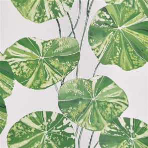 Designers Guild - Brahmi - PDG1061/01 Leaf