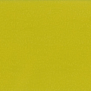Dominique Kieffer - Reef - 17253-011 Chartreuse