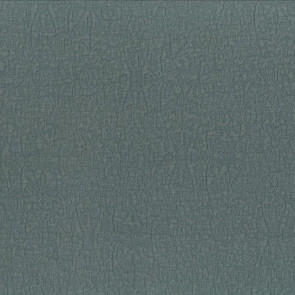 Dominique Kieffer - Reef - 17253-013 Lichen