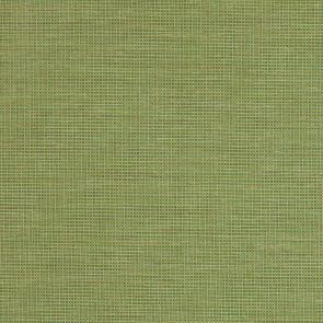 Jane Churchill - Branca - J850F-03 Green