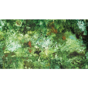 Jean Paul Gaultier - Vert De Gris - 3305-01 Jade