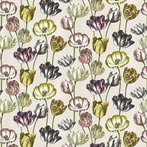 John Derian - Variegated Tulips - FJD6023/01 Buttermilk