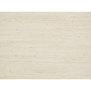 Mark Alexander - Rushes - MW133/01 - Jasper White