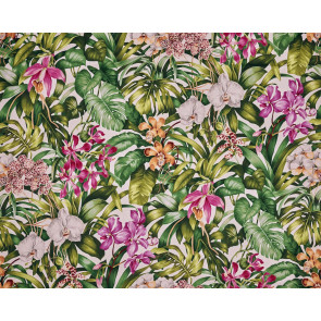 Pierre Frey - Jardin botanique - F3389001 Jour