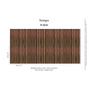 Élitis - Tempo - Carioca - TP 220 03 Revisiter ses classiques