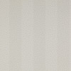 Colefax and Fowler - Chartworth Stripes - Wilder 7140/06 Silver
