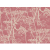 Cole & Son - New Contemporary I - Cow Parsley 66/7052