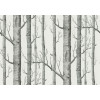 Cole & Son - New Contemporary II - Woods 69/12147