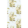 Cole & Son - Collection of Flowers - Madras Violet 81/6023
