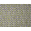 Braquenie - Fleury - B7672004 Grandes Eaux