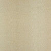 Colefax and Fowler - Livingstone - F1406/01 Beige