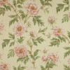 Colefax and Fowler - Tree Peony - F3527/04 Pink/Green