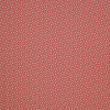 Colefax and Fowler - Mazely - F4333/05 Red