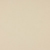 Colefax and Fowler - Tyndall - F4686-29 Pale Cream