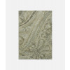 Dedar - Paradiso Paisley - T22023-021 - Argento