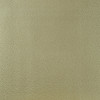 Designers Guild - Jurena - F1676/05 Champagne