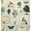  John Derian - Flora and Fauna - PJD6001/02 Cloud Blue