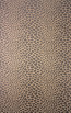 Osborne & Little - Komodo - Panthera W6306-01